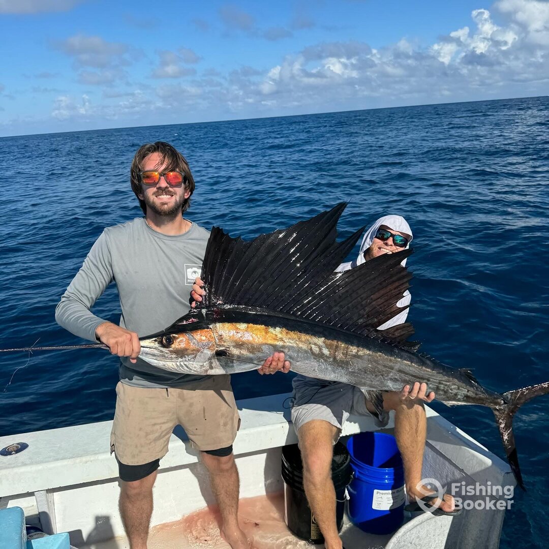 Dania Beach Report Photo 0