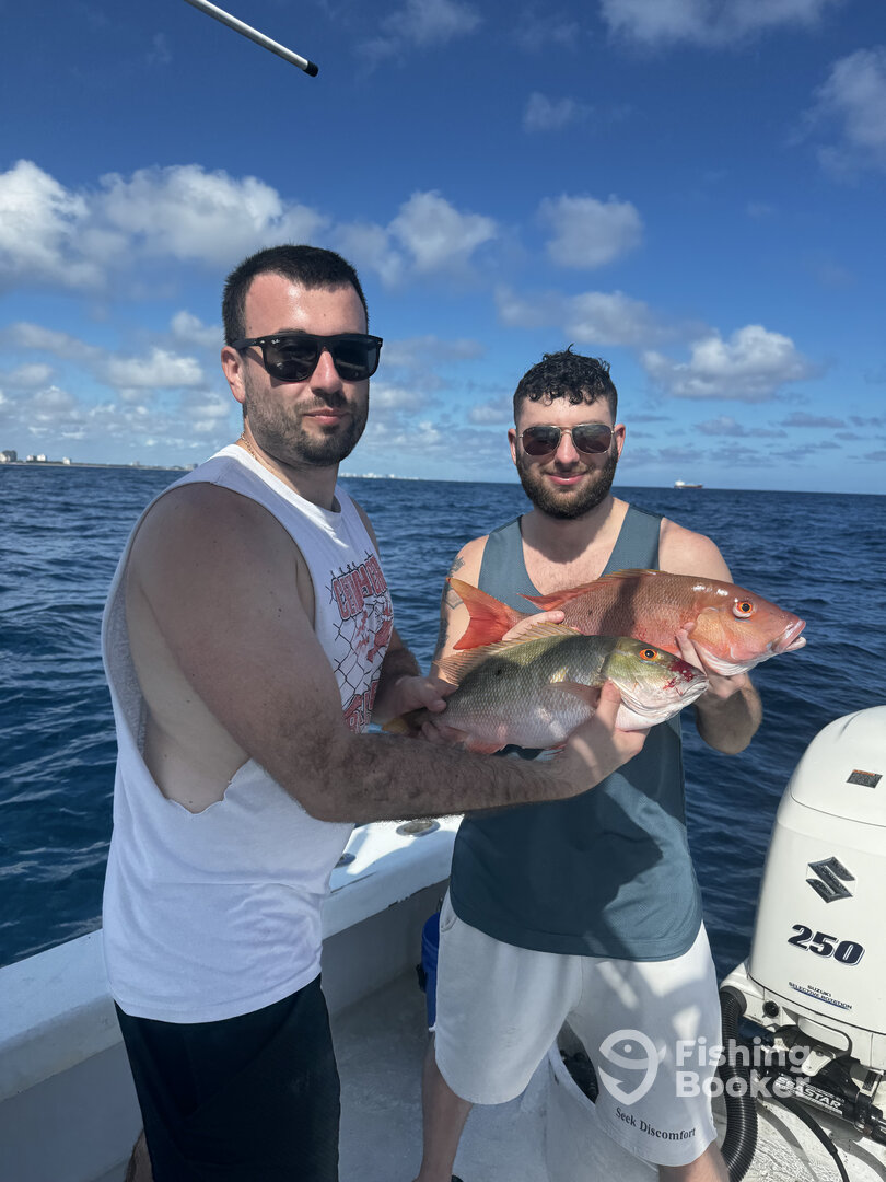 Dania Beach Report Photo 0