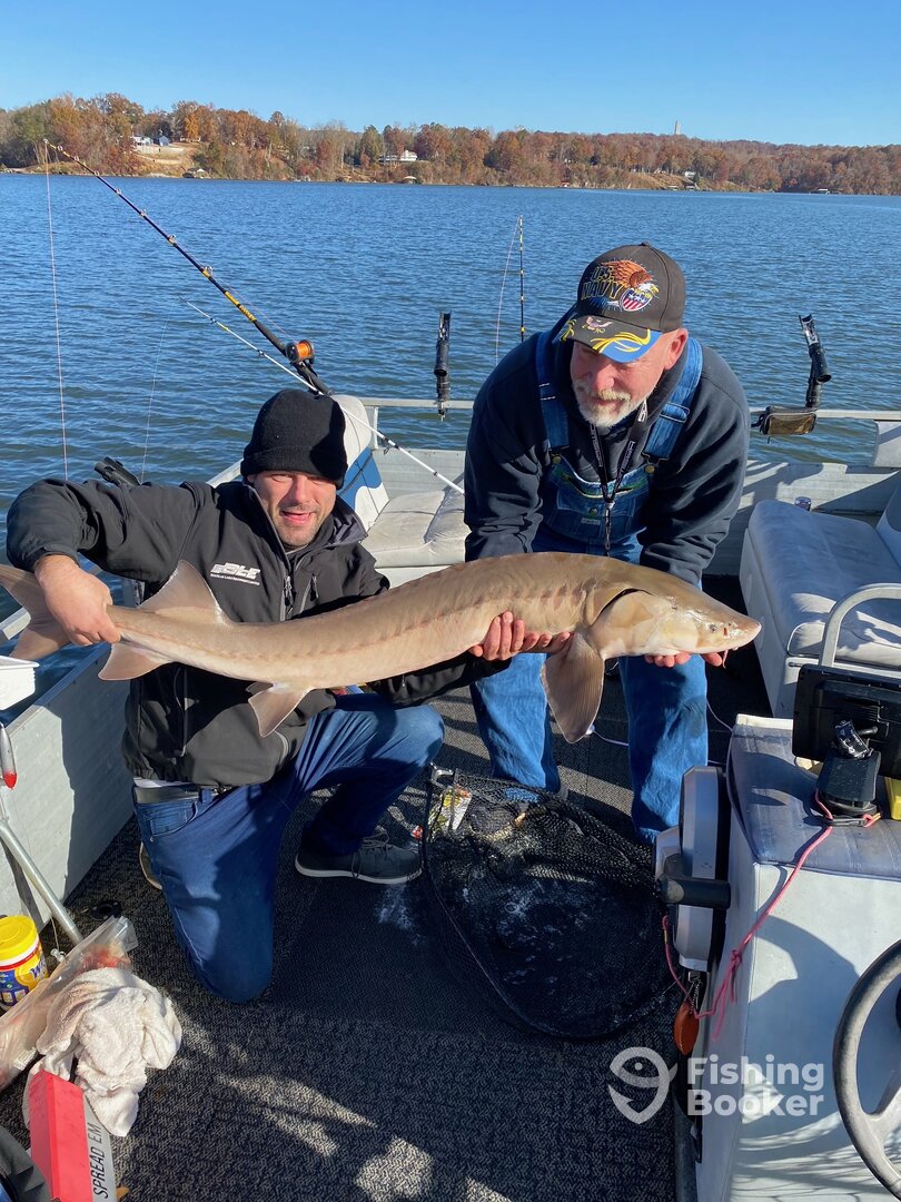 A Dinosaur from the depths