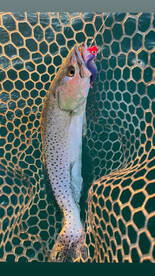 Key West Fall Backcountry Fishing