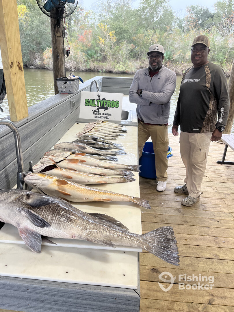 St. Bernard Report Photo 0