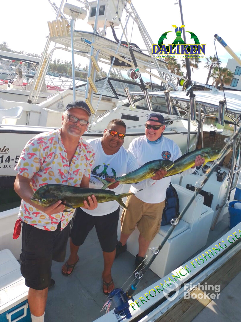 San Jose del Cabo Report Photo 0