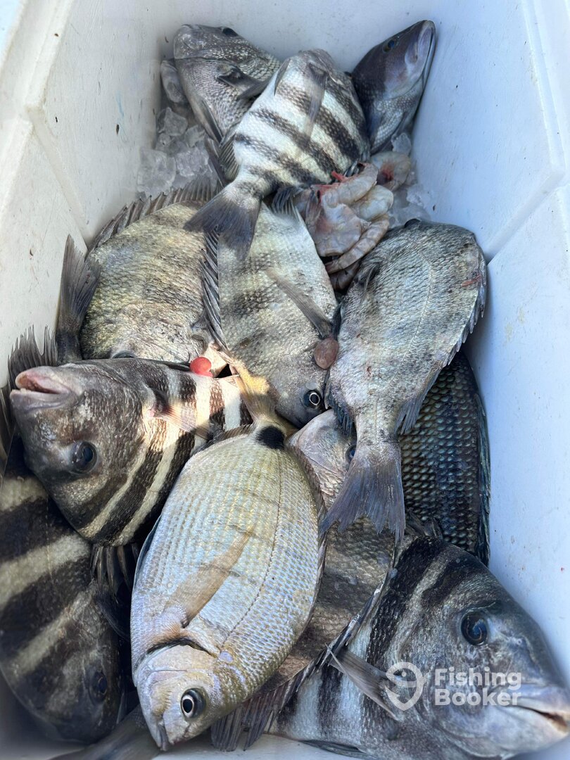 Fernandina Beach Report Photo 0