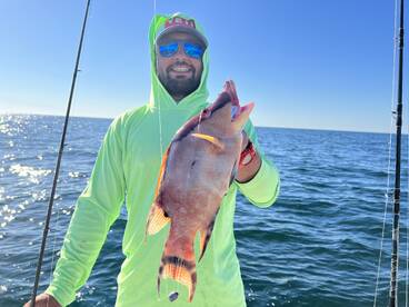 Tampa Report Photo 1