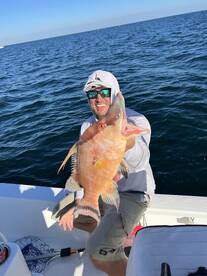 Tampa Report Photo 2