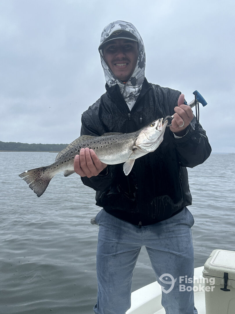 Mount Pleasant Report Photo 0