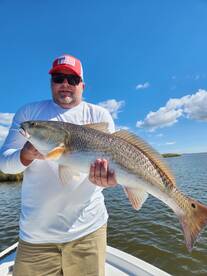 St. Bernard Report Photo 1