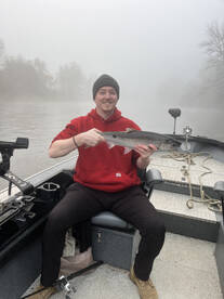 Montesano Report Photo 2