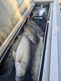 Lakeside Marblehead Report Photo 2