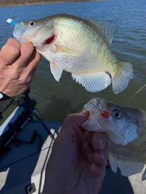 Sand Springs Report Photo 2