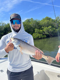 Tampa Report Photo 1