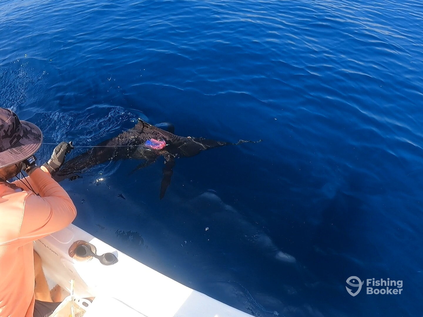 Nicoya Report Photo 0