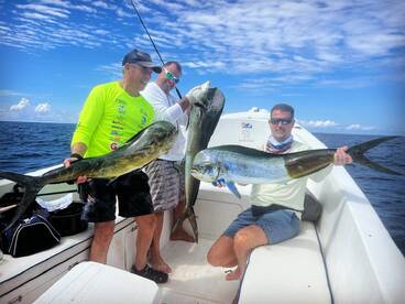 Nicoya Report Photo 2