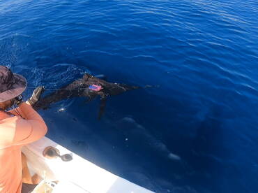 Some from the last week 