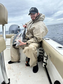 San Diego Report Photo 2