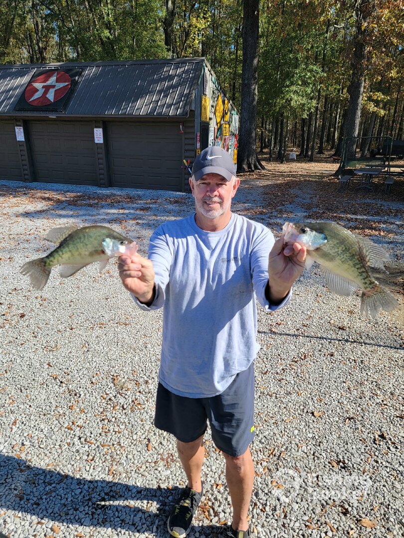 Grenada Report Photo 0