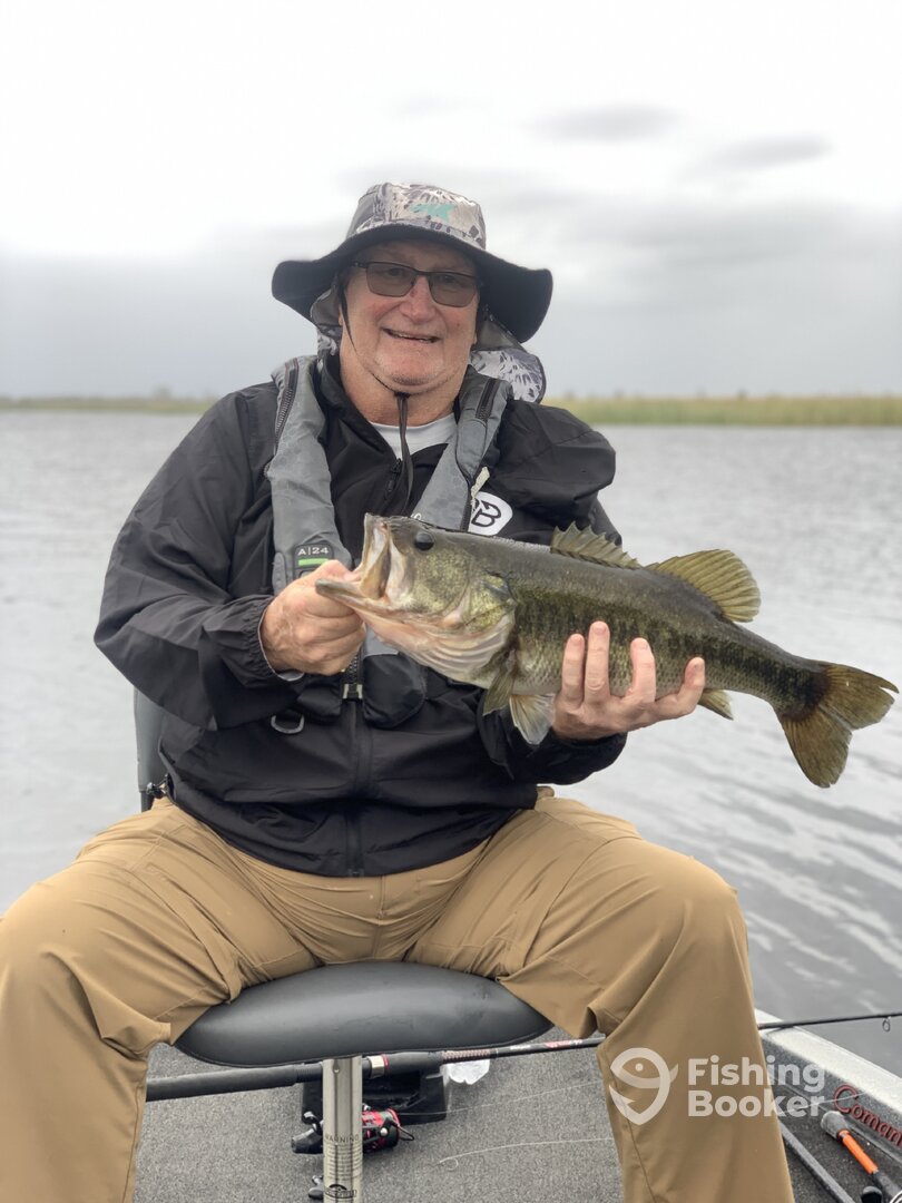 Fellsmere Report Photo 0