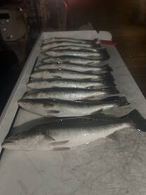 Beaufort Report Photo 1