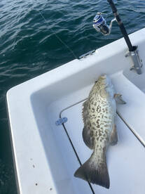 Naples Report Photo 1