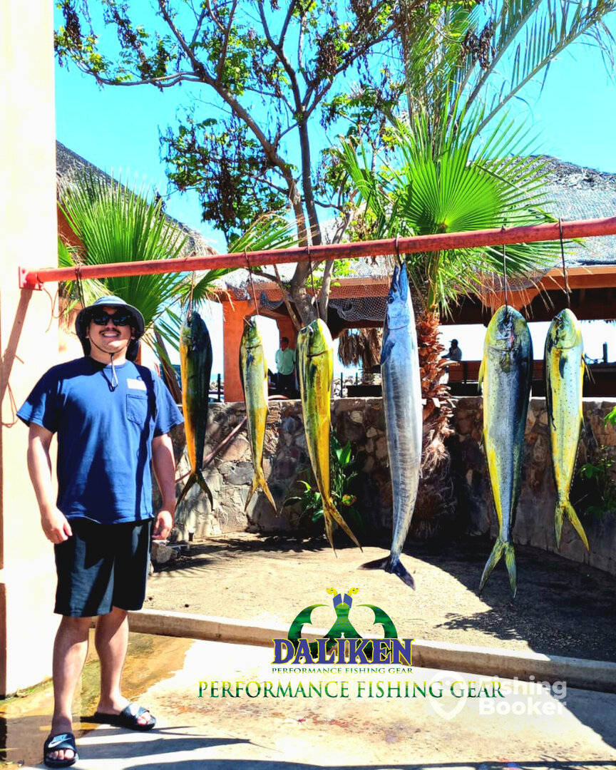 San Jose del Cabo Report Photo 0