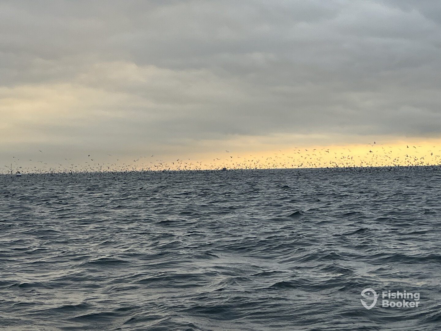 Middletown Township Report Photo 0