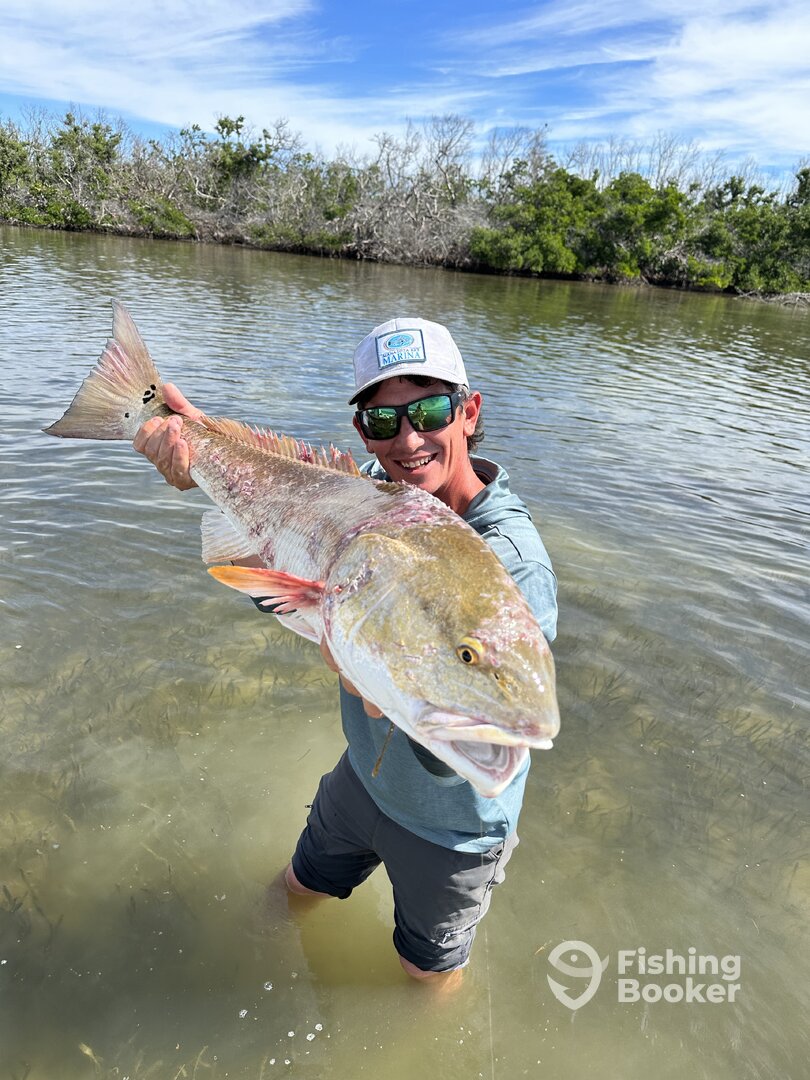 Placida Report Photo 0