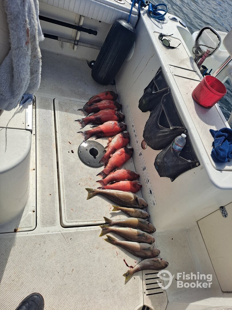 San Diego Report Photo 0