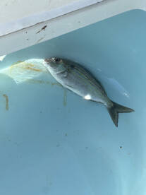 Winter Fishing is here!