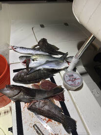 Carolina Beach Report Photo 2