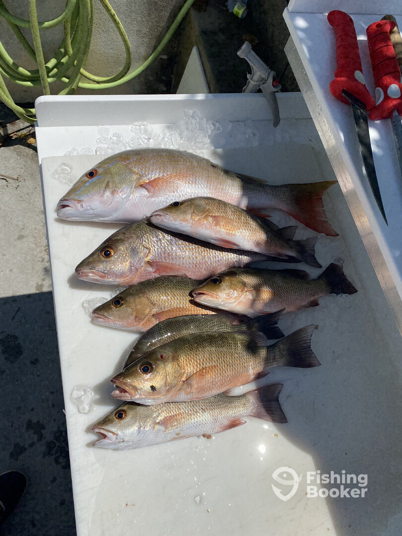 Key West Report Photo 0