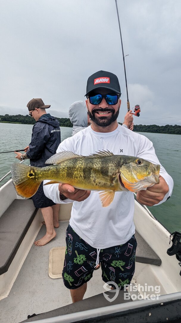 Gamboa Report Photo 0