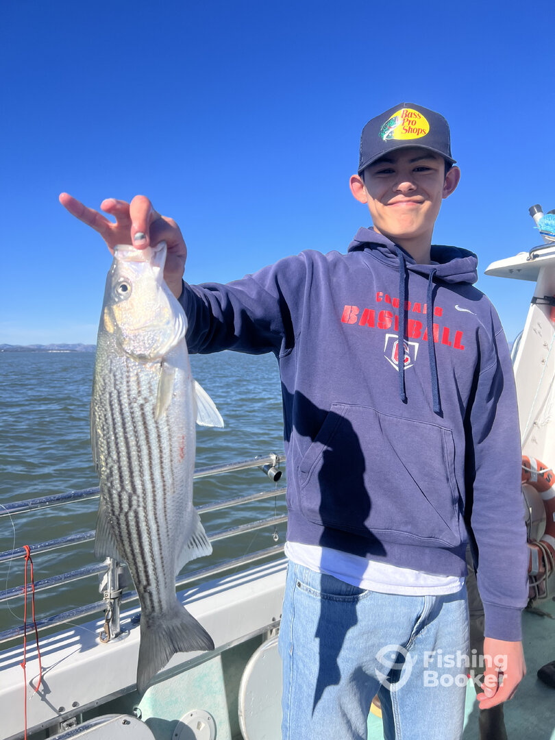 San Francisco Report Photo 0