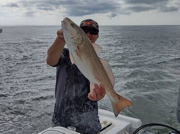 Inshore Fishing Redfish, drum, sheapshea