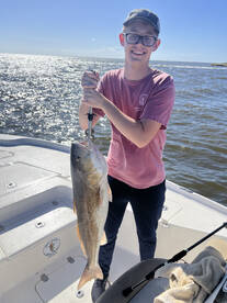 St. Bernard Report Photo 2