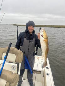 St. Bernard Report Photo 1