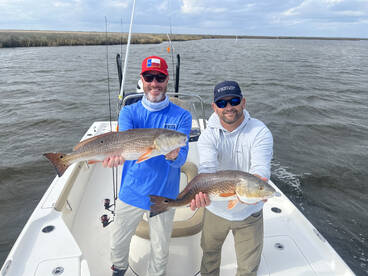 St. Bernard Report Photo 2