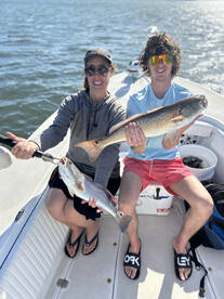 Sarasota Report Photo 2