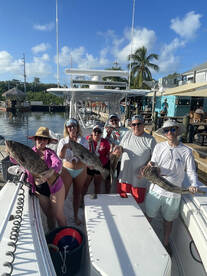 You get a grouper and You get a grouper.