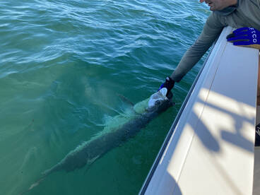 Key West Report Photo 1