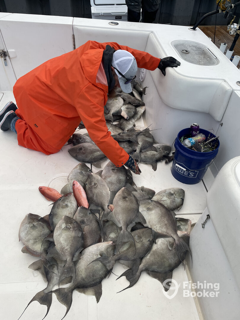 Carolina Beach Report Photo 0