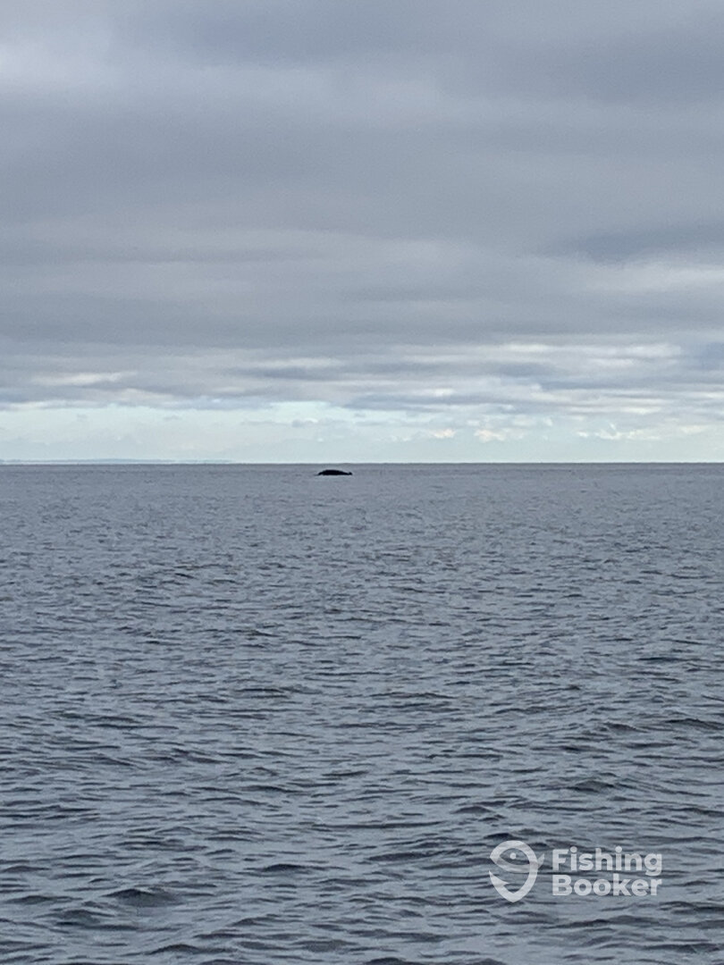 Nanaimo Report Photo 0