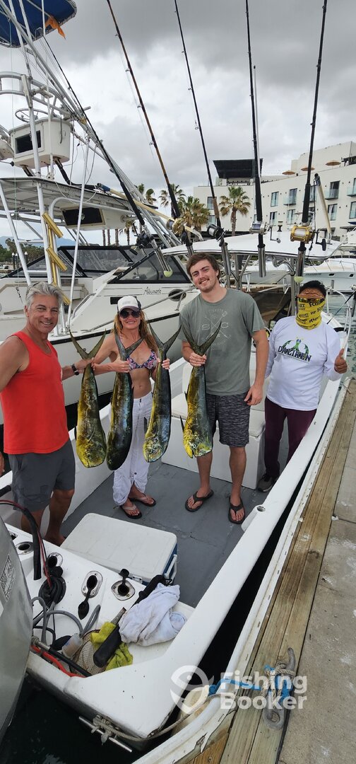 San Jose del Cabo Report Photo 0