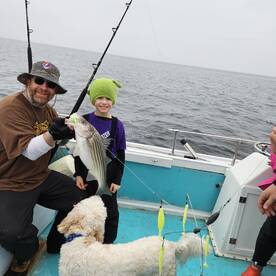 Solomons Report Photo 1