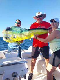 Cabo San Lucas Report Photo 2