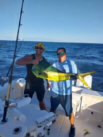 Cabo San Lucas Report Photo 1