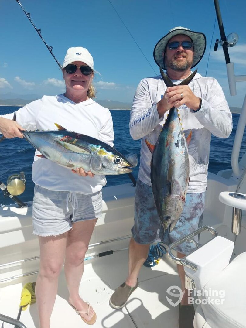 Cabo San Lucas Report Photo 0