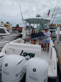 Cabo San Lucas Report Photo 2