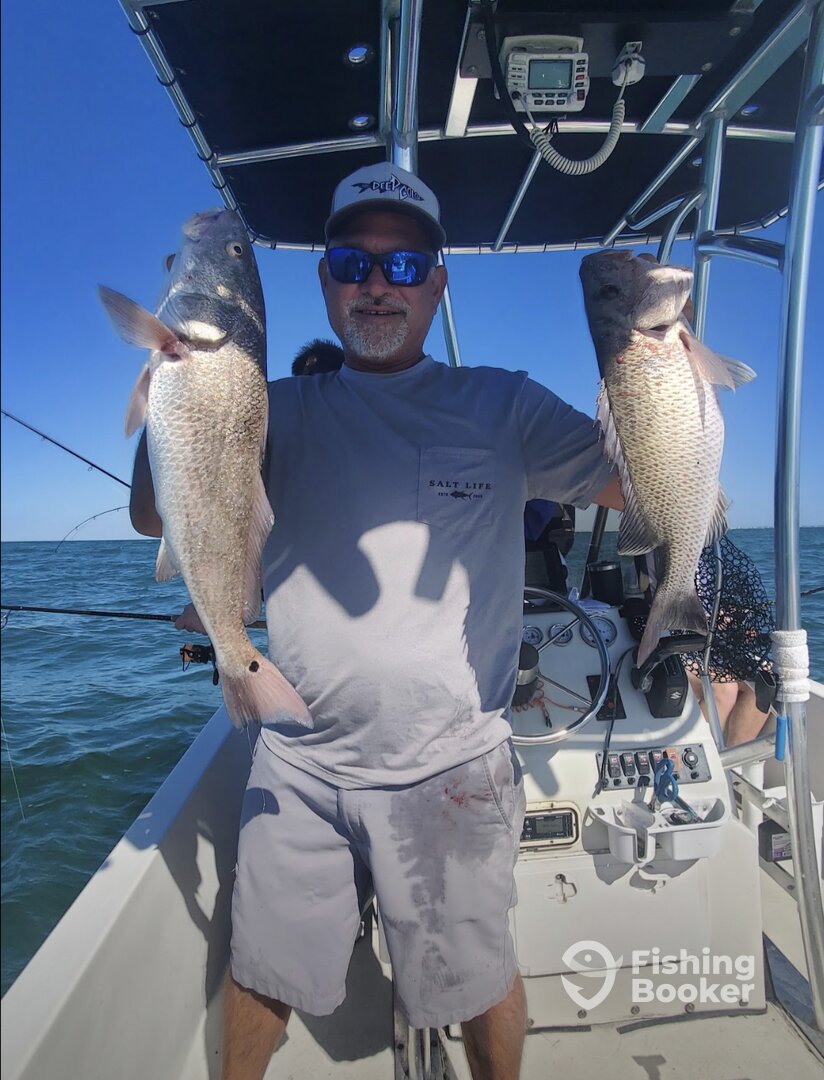 Bay Pines Report Photo 0