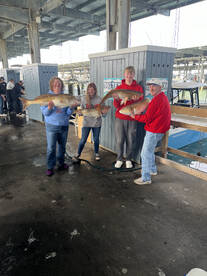 Galveston Report Photo 1