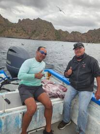 Loreto Report Photo 1